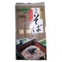 3123
